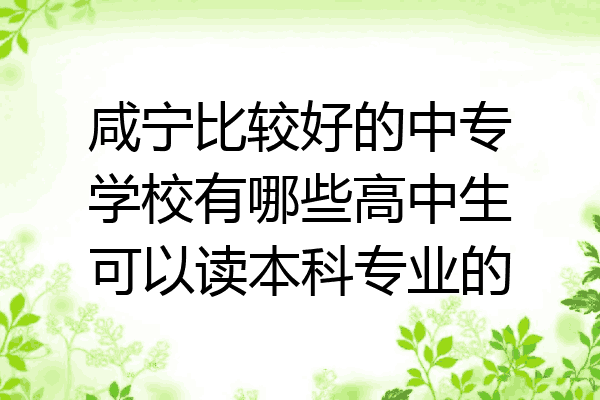 咸宁比较好的中专学校有哪些高中生可以读本科专业的
