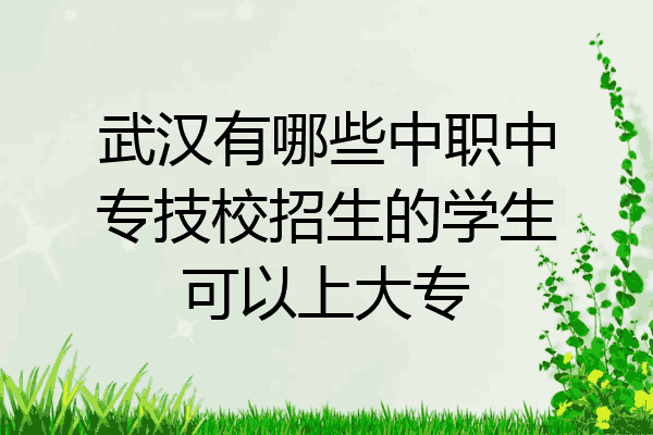 武汉有哪些中职中专技校招生的学生可以上大专