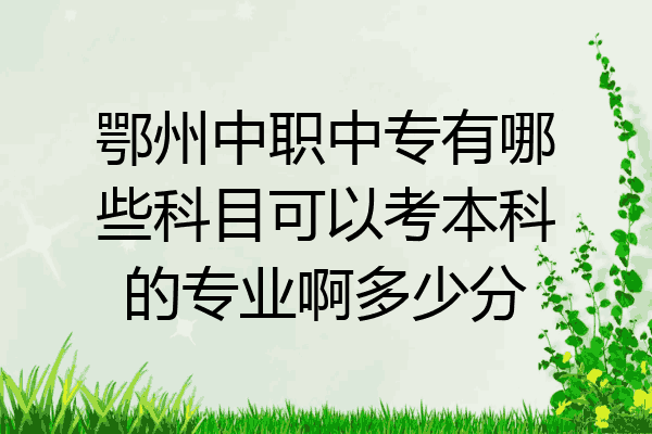 鄂州中职中专有哪些科目可以考本科的专业啊多少分