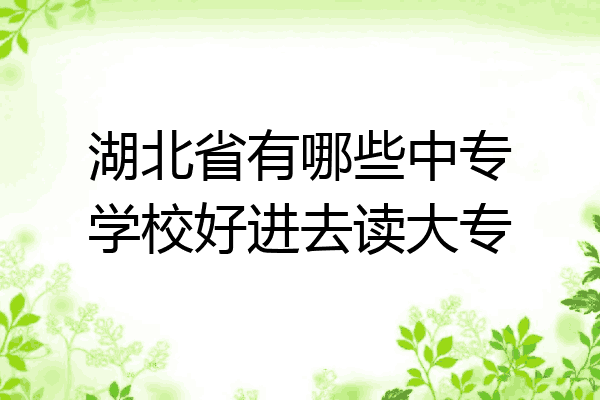 湖北省有哪些中专学校好进去读大专