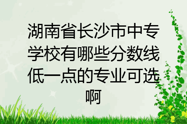 湖南省长沙市中专学校有哪些分数线低一点的专业可选啊
