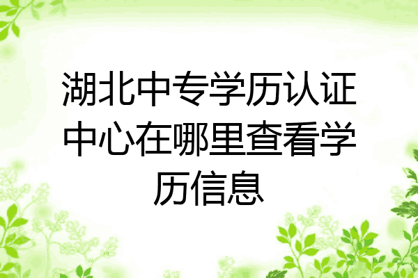 湖北中专学历认证中心在哪里查看学历信息