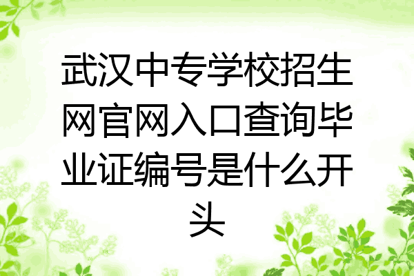 武汉中专学校招生网官网入口查询毕业证编号是什么开头