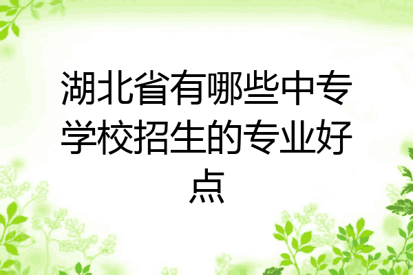 湖北省有哪些中专学校招生的专业好点