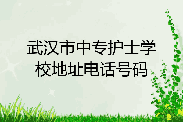 武汉市中专护士学校地址电话号码