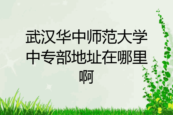 武汉华中师范大学中专部地址在哪里啊