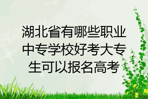 湖北省有哪些职业中专学校好考大专生可以报名高考
