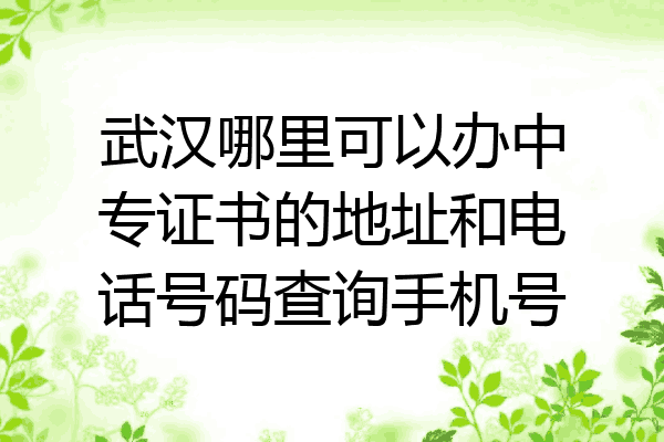 武汉哪里可以办中专证书的地址和电话号码查询手机号