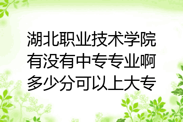 湖北职业技术学院有没有中专专业啊多少分可以上大专