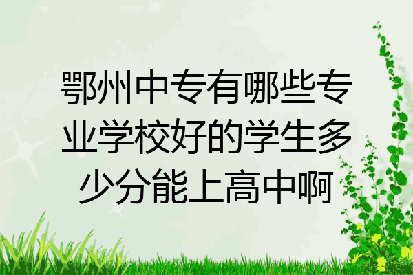 鄂州中专有哪些专业学校好的学生多少分能上高中啊