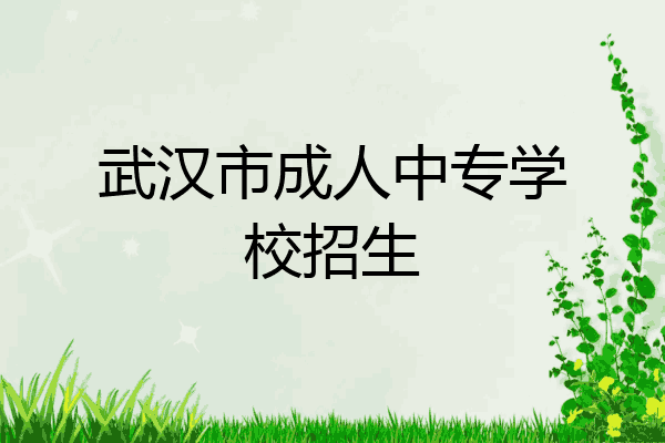 武汉市成人中专学校招生