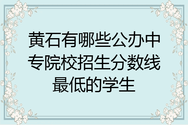 黄石有哪些公办中专院校招生分数线最低的学生