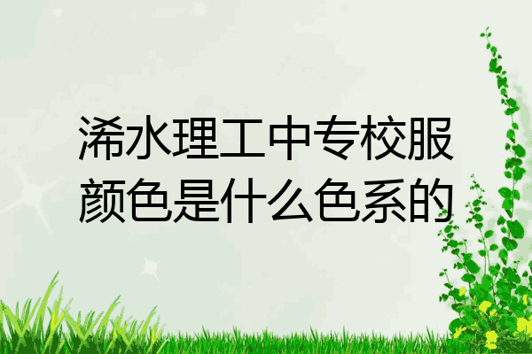 浠水理工中专校服颜色是什么色系的