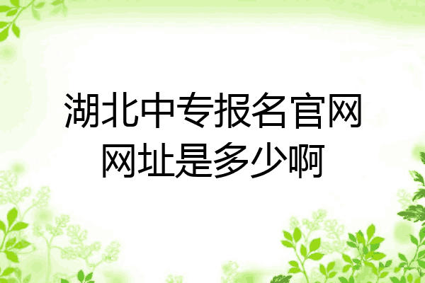 湖北中专报名官网网址是多少啊