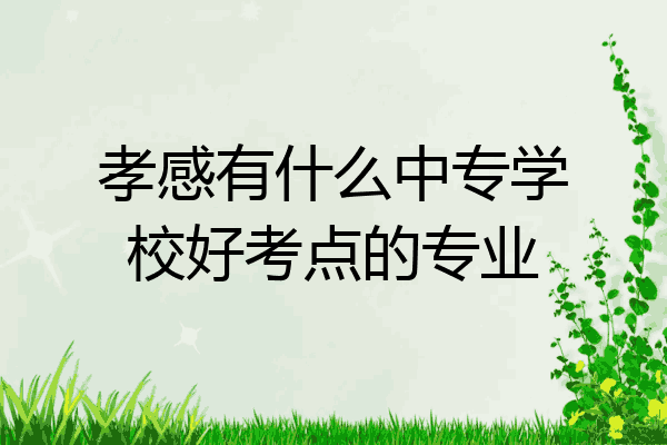 孝感有什么中专学校好考点的专业