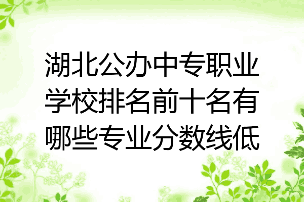 湖北公办中专职业学校排名前十名有哪些专业分数线低