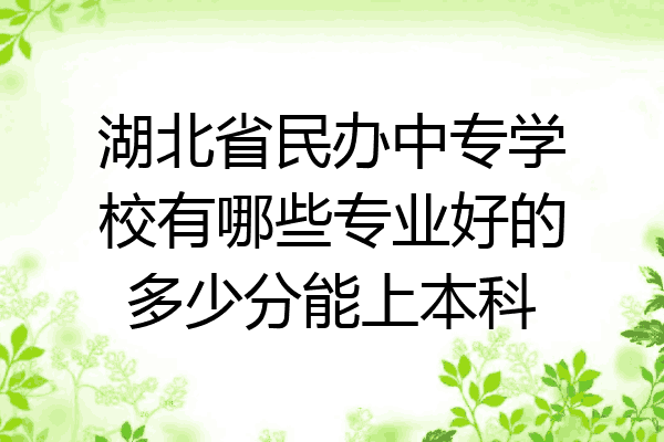 湖北省民办中专学校有哪些专业好的多少分能上本科