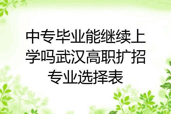 中专毕业能继续上学吗武汉高职扩招专业选择表