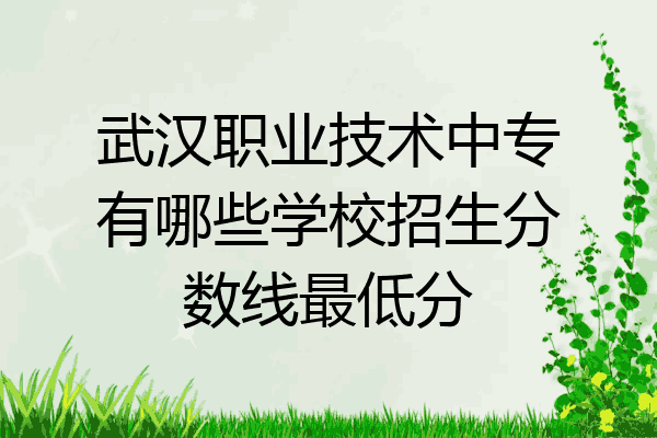 武汉职业技术中专有哪些学校招生分数线最低分