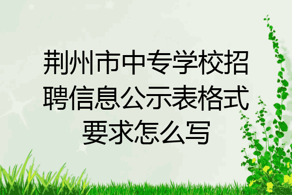 荆州市中专学校招聘信息公示表格式要求怎么写