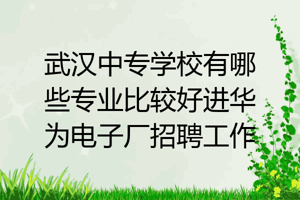 武汉中专学校有哪些专业比较好进华为电子厂招聘工作