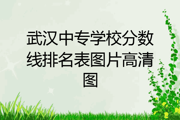 武汉中专学校分数线排名表图片高清图