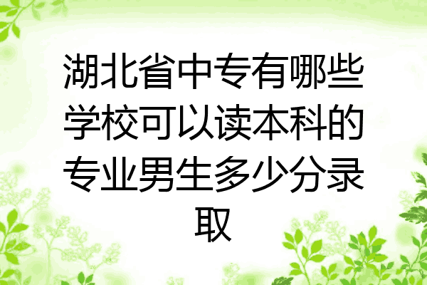 湖北省中专有哪些学校可以读本科的专业男生多少分录取