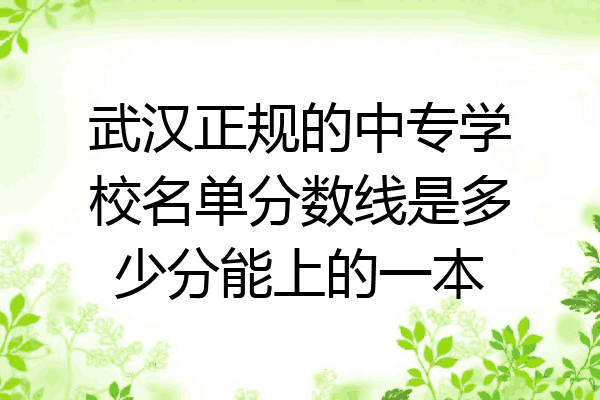 武汉正规的中专学校名单分数线是多少分能上的一本