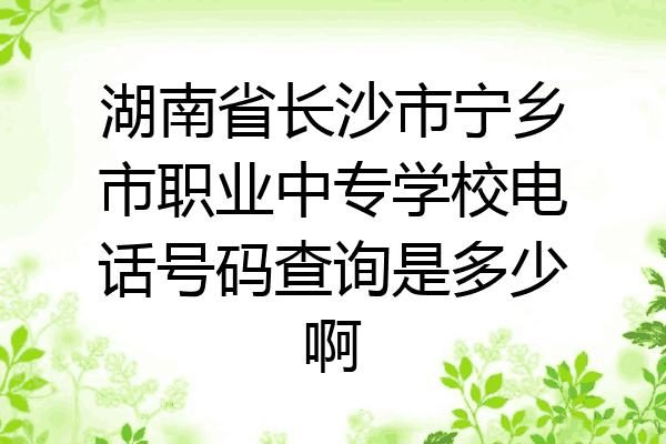 湖南省长沙市宁乡市职业中专学校电话号码查询是多少啊