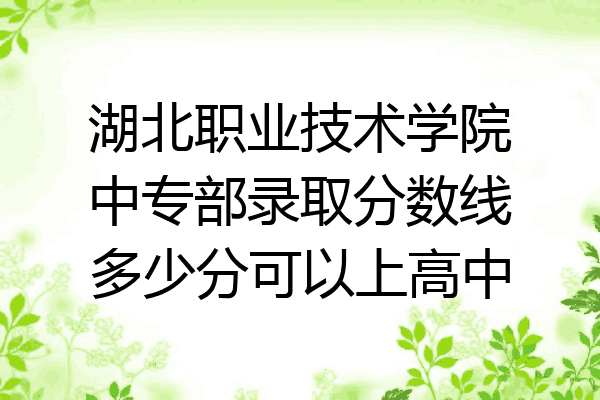 湖北职业技术学院中专部录取分数线多少分可以上高中