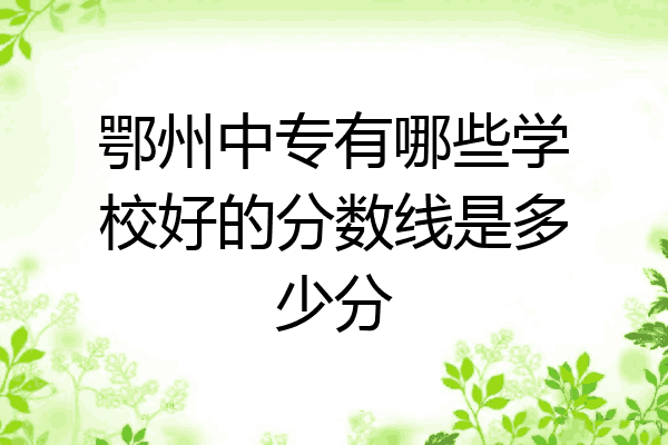 鄂州中专有哪些学校好的分数线是多少分