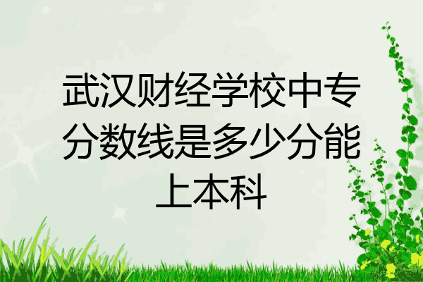 武汉财经学校中专分数线是多少分能上本科