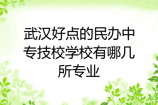 武汉好点的民办中专技校学校有哪几所专业