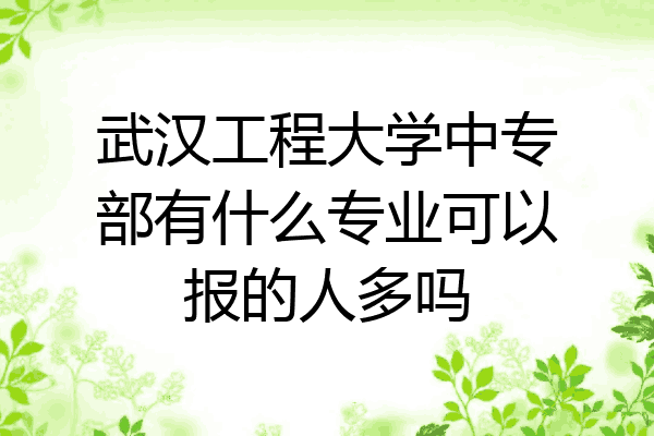 武汉工程大学中专部有什么专业可以报的人多吗