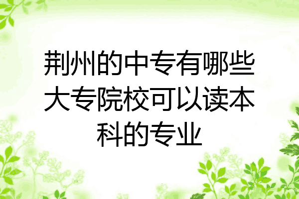 荆州的中专有哪些大专院校可以读本科的专业