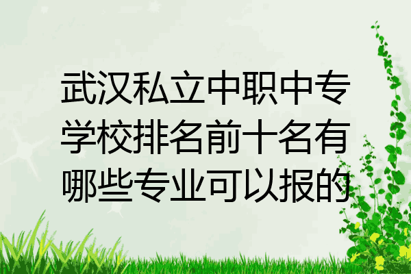 武汉私立中职中专学校排名前十名有哪些专业可以报的