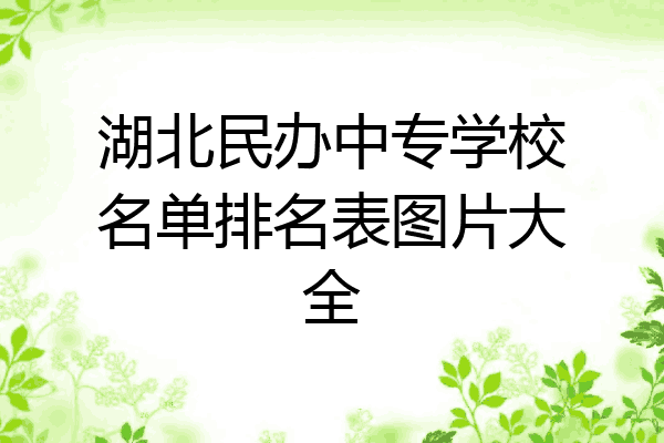 湖北民办中专学校名单排名表图片大全
