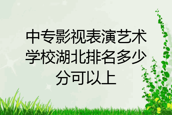 中专影视表演艺术学校湖北排名多少分可以上