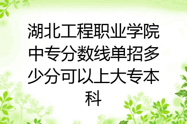 湖北工程职业学院中专分数线单招多少分可以上大专本科