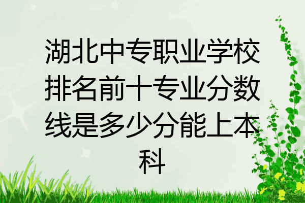湖北中专职业学校排名前十专业分数线是多少分能上本科