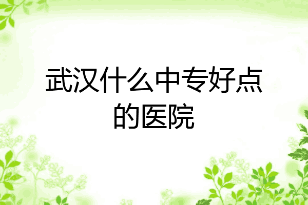 武汉什么中专好点的医院