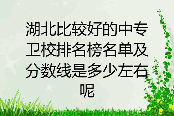 湖北比较好的中专卫校排名榜名单及分数线是多少左右呢