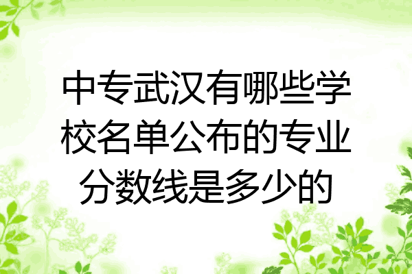 中专武汉有哪些学校名单公布的专业分数线是多少的