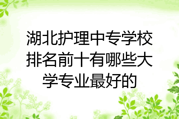 湖北护理中专学校排名前十有哪些大学专业最好的