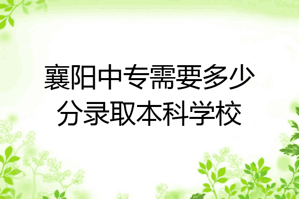 襄阳中专需要多少分录取本科学校