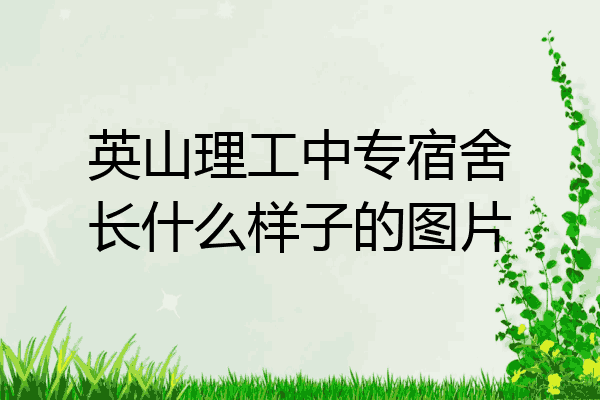 英山理工中专宿舍长什么样子的图片