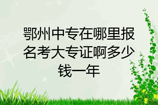 鄂州中专在哪里报名考大专证啊多少钱一年