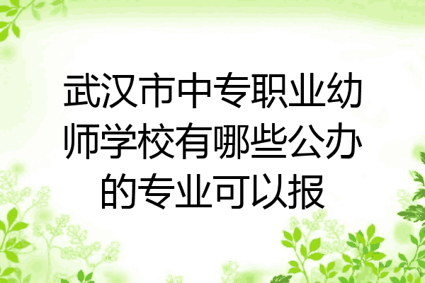 武汉市中专职业幼师学校有哪些公办的专业可以报