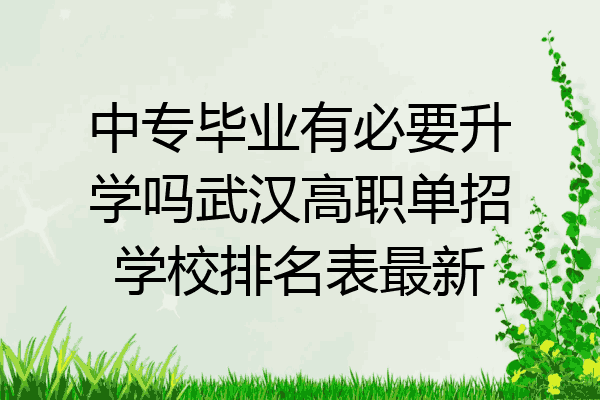 中专毕业有必要升学吗武汉高职单招学校排名表最新