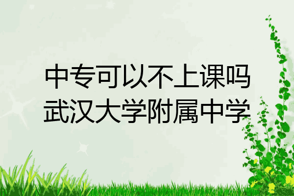中专可以不上课吗武汉大学附属中学